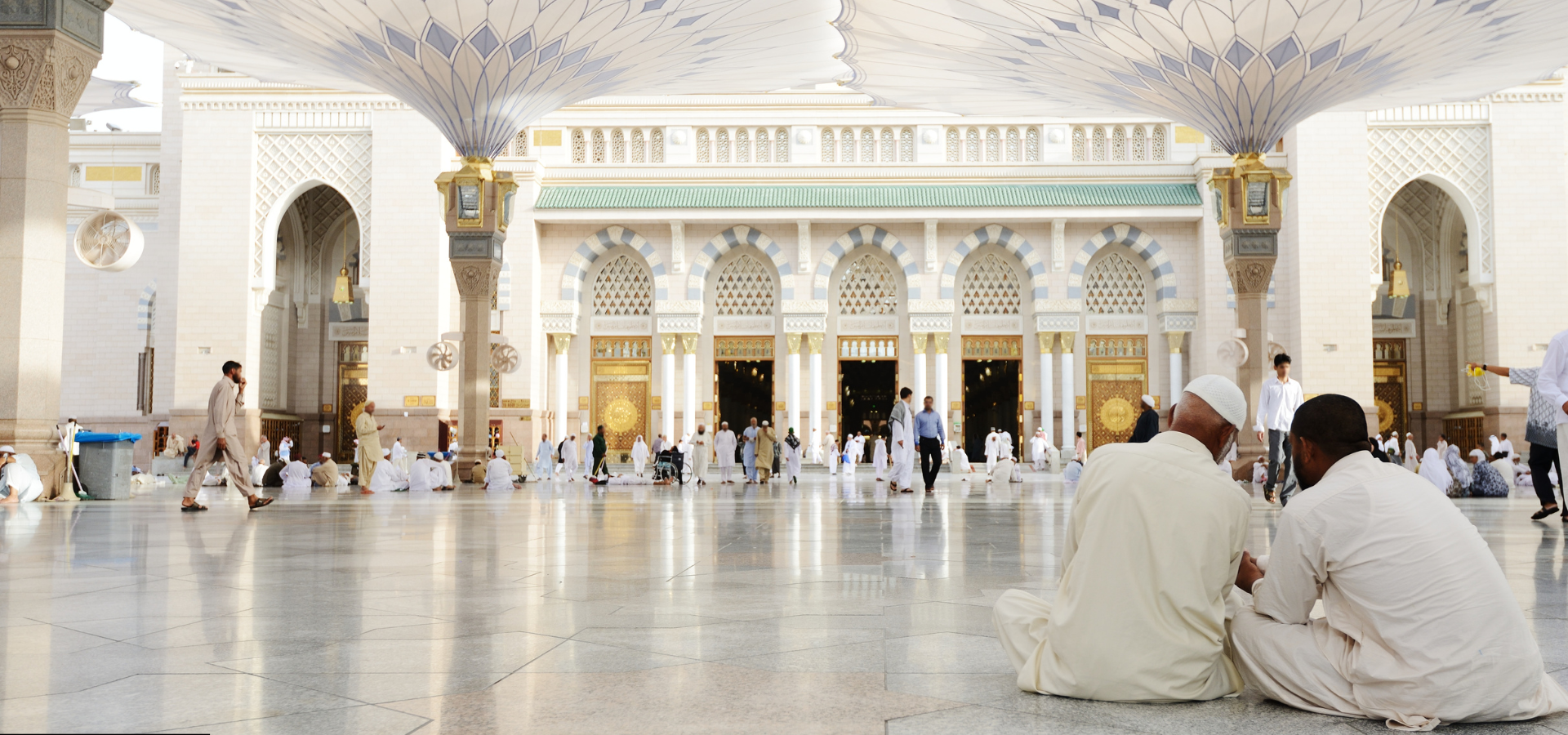 Untitled (1920 x 900 px) (2)